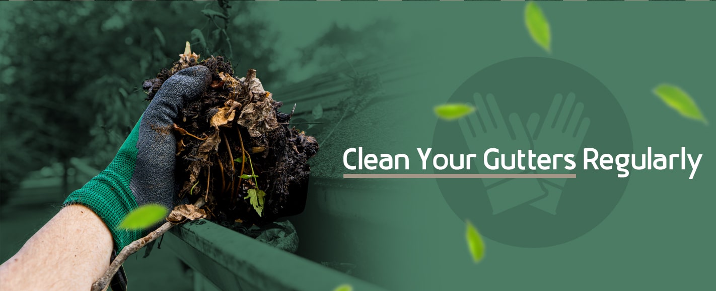 Toned green image with a close up shot of a gloved hand grabbing a handful of leaves out of a gutter with text reading "Clean your gutters regularly" to the side