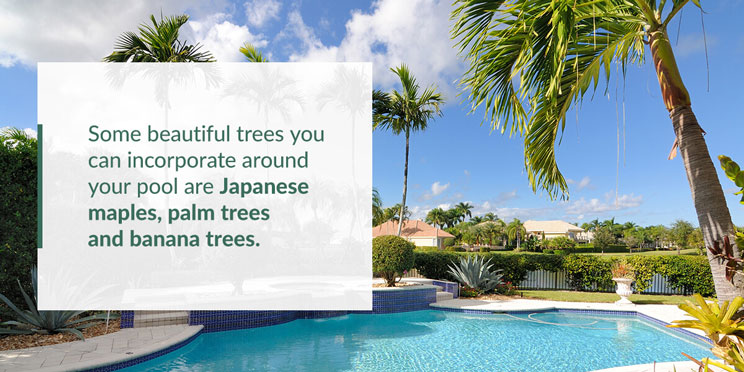 Image of an inground pool with palm trees hanging over it on a bright sunny day with text saying "Some beautiful trees you can incorporate around your pool are Japanese maples, palm trees and banana trees."