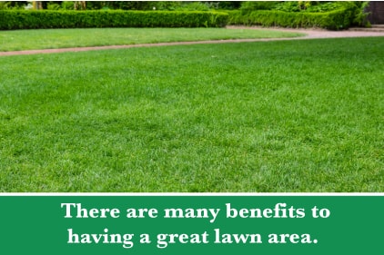 A plain photo of a yard with full green grass with a green bar below and text reading "There are many benefits to having a great lawn area."