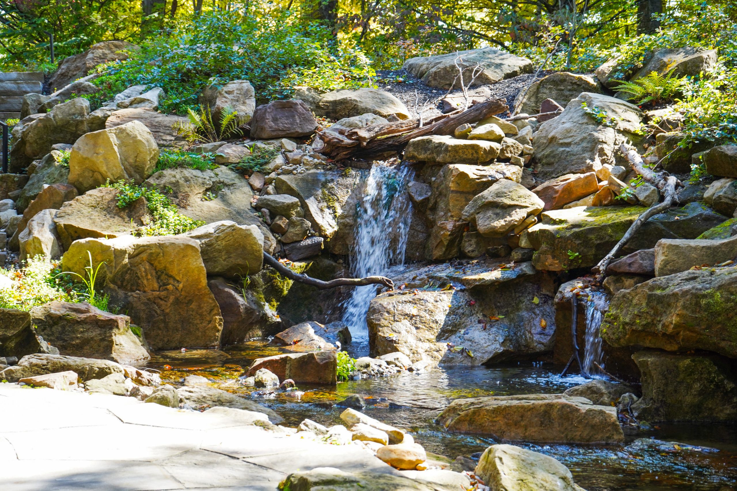 Pondless waterfall surrounded by plants