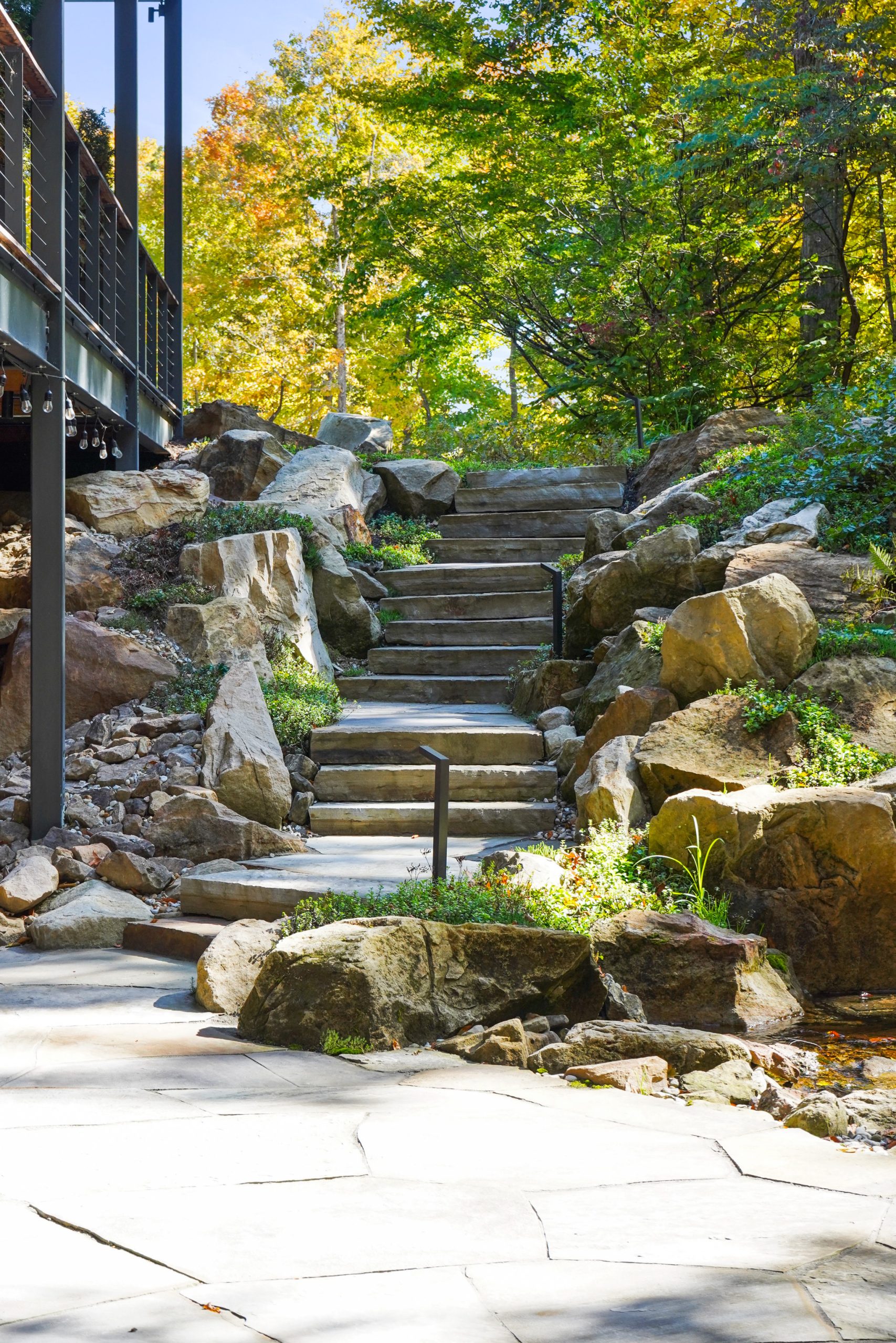 Stairs hardscape surrounded by colorful trees