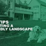 A green toned image of a golden retriever laying down by a flower bed with the backyard of a large house behind it, with a simple white tree graphic overtop with text reading "Top Ten Tips for Creating a Pet-Friendly Landscape"