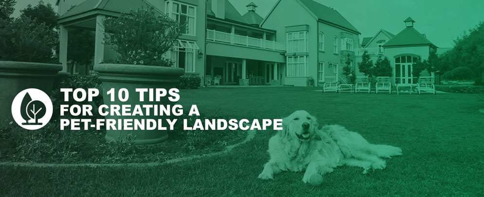 A green toned image of a golden retriever laying down by a flower bed with the backyard of a large house behind it, with a simple white tree graphic overtop with text reading "Top Ten Tips for Creating a Pet-Friendly Landscape"